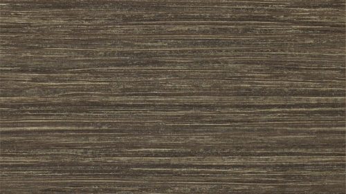Oralia 111464